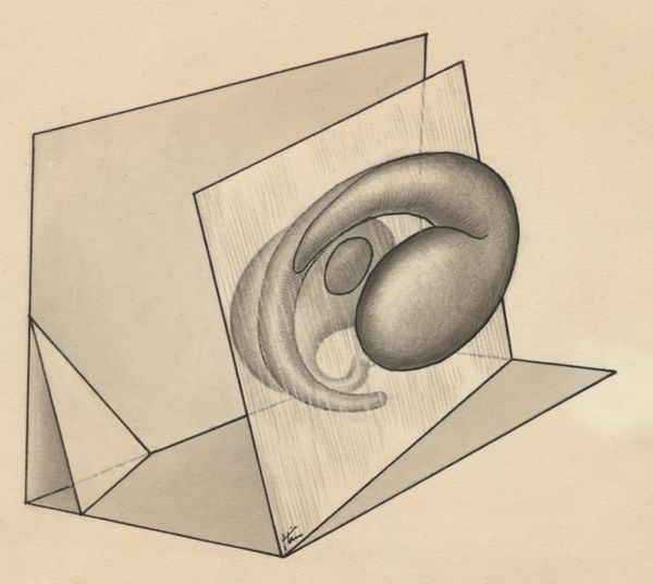 J Tinkelenberg, Part of the central nervous system