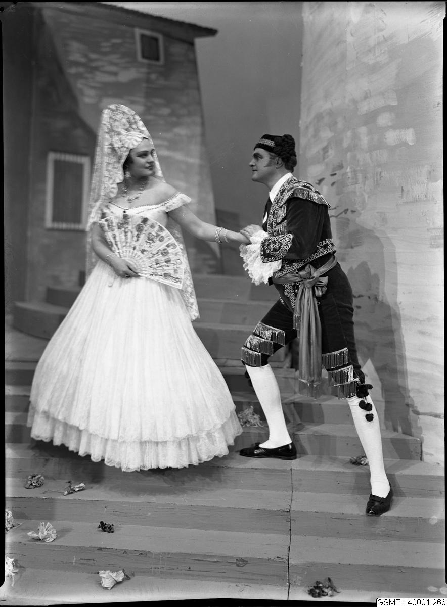 Olsson & Hammarqvist Fotografiatelier, negativ, nitratnegativ, bilder, genomsiktsbild, fotografi