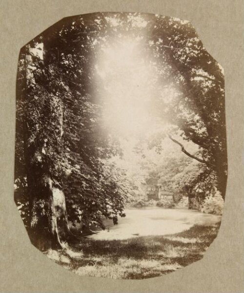 Clementina, Lady Hawarden, Photograph
