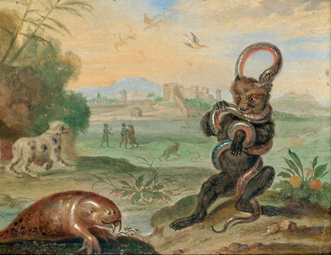 Ferdinand van Kessel the Elder, Puerto Rico
