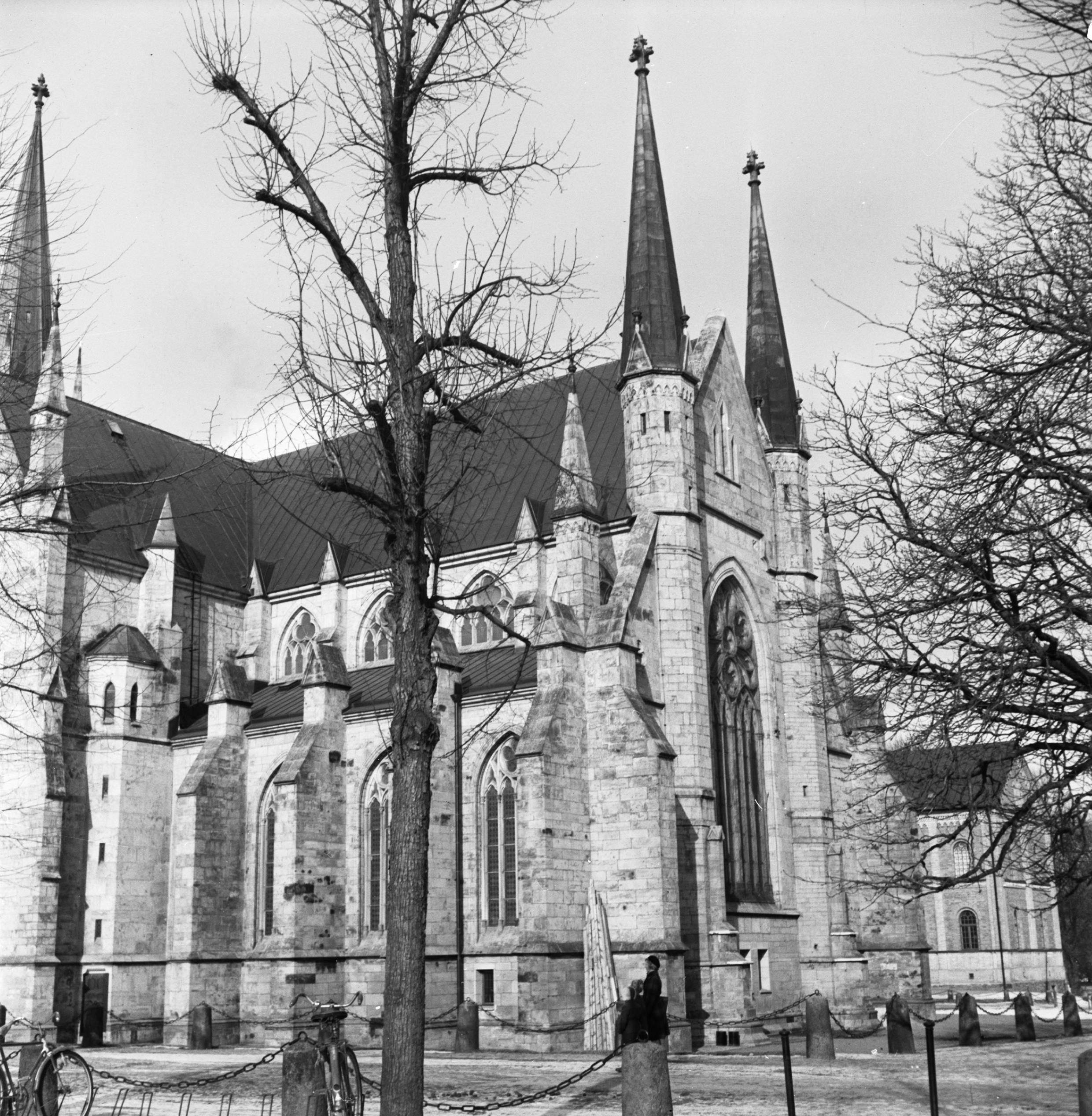 Iwar Anderson, Skara domkyrka (Sankta Maria kyrka)