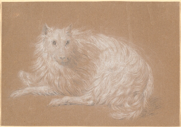 Nicolai Abildgaard, En liggende langhåret hund