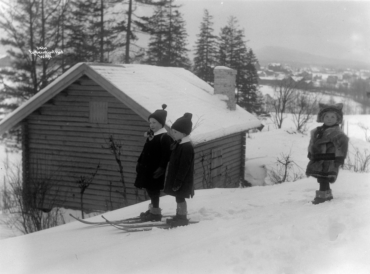 Anders Beer Wilse, Prot: Paa Skitur Smågutter Dr. Hüberts 3/3 1908