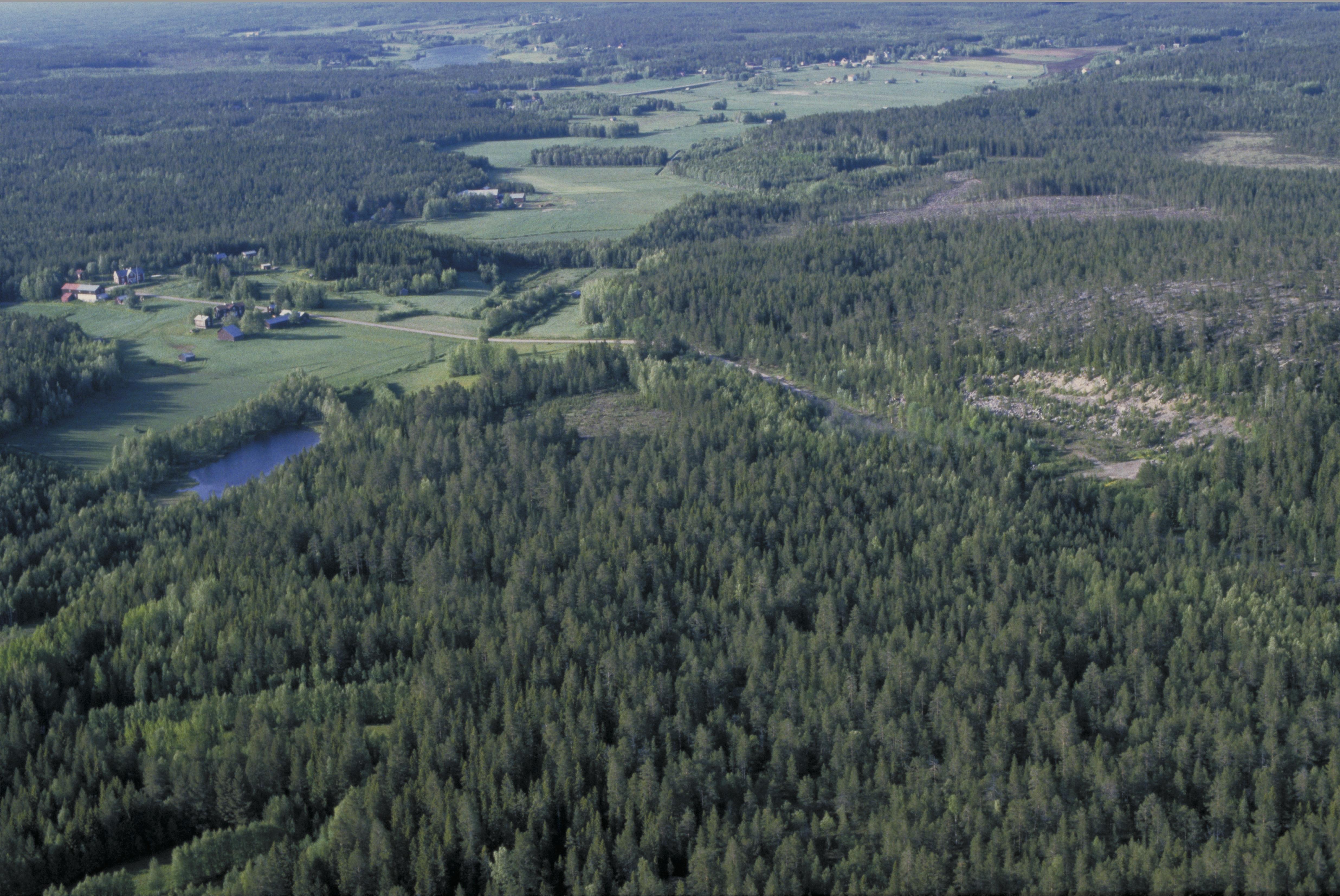 Jan Norrman, Grimsmark