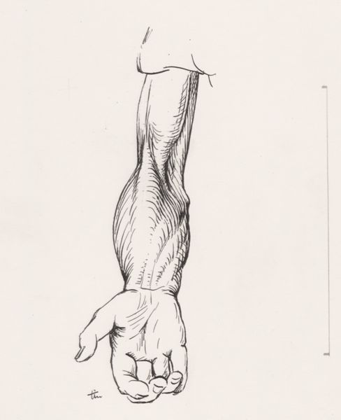 J Tinkelenberg, Human forearm and hand with open palm