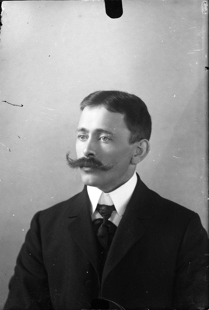 Oscar Holte, Portrett av mann