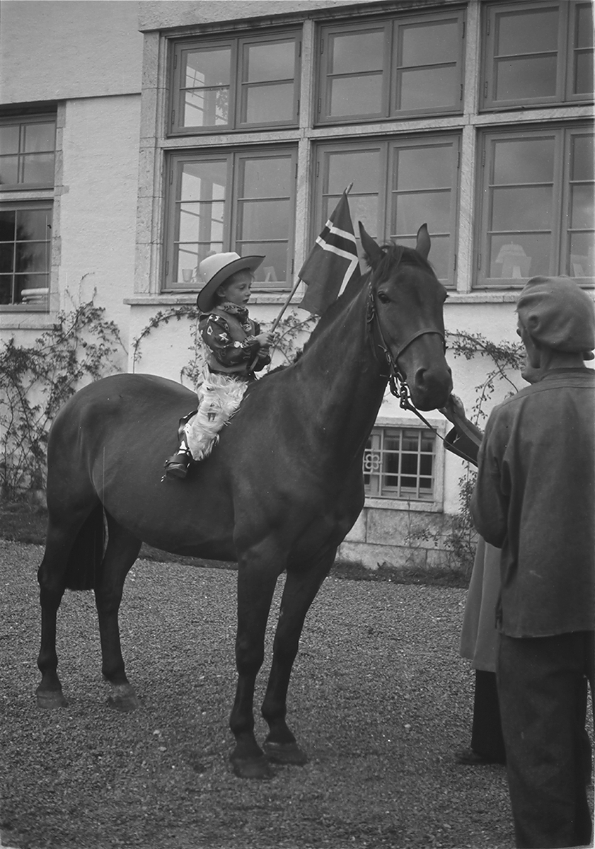 Anders Beer Wilse, Prot: Harald paa hesteryg