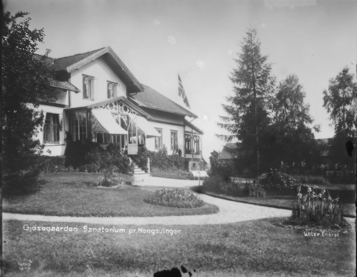 Anders Beer Wilse, Prot: Gjösegaarden