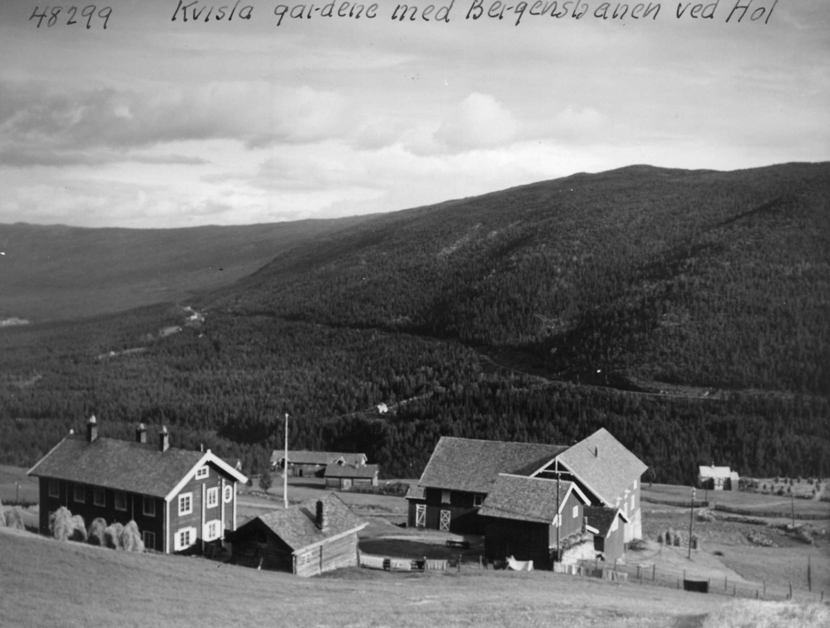 Anders Beer Wilse, Kvisla gårdene