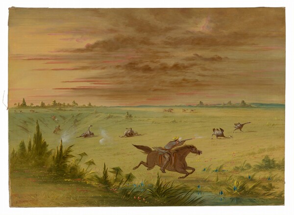 George Catlin, Ostrich Chase, Buenos Aires - Auca