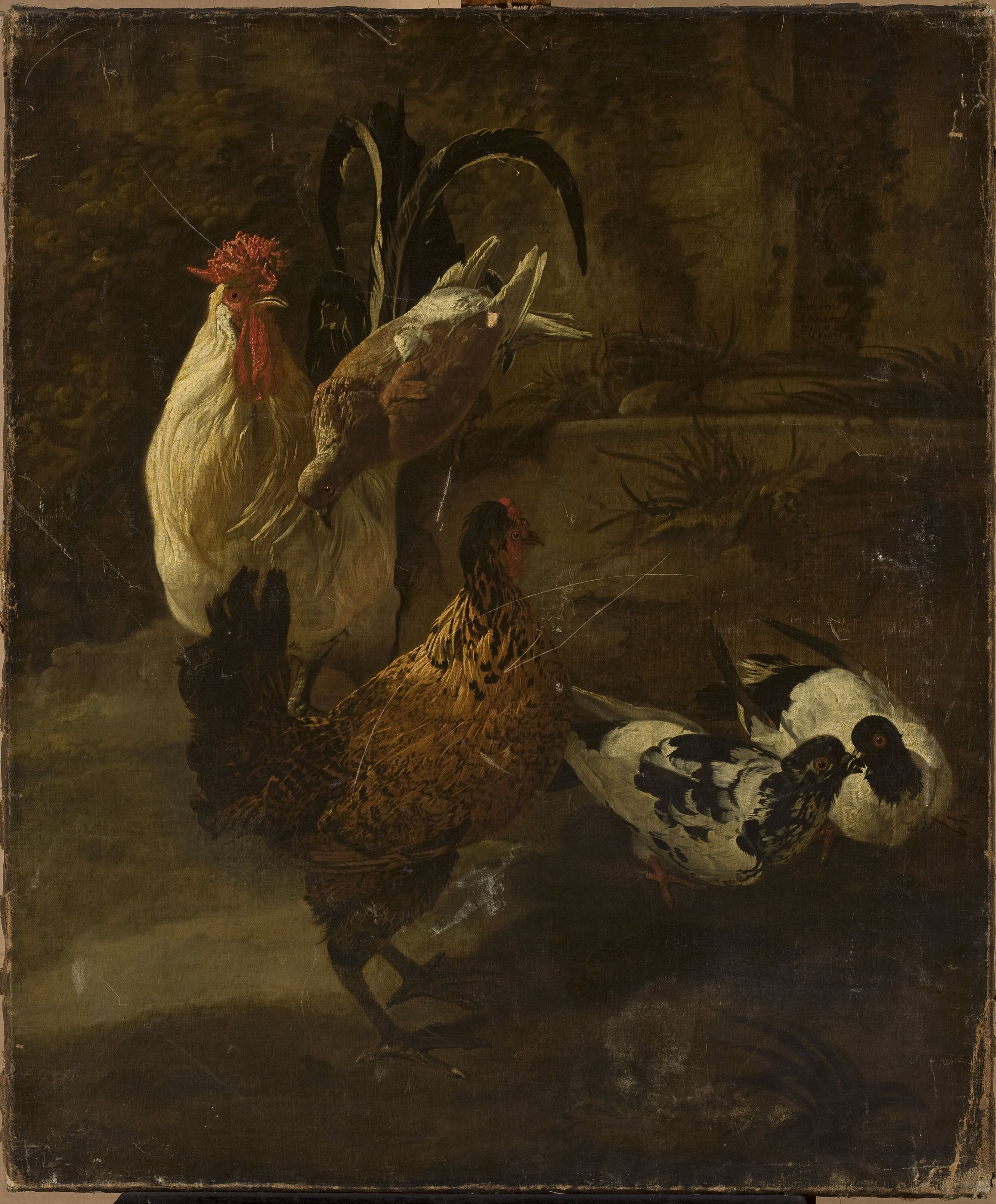 Jacomo Victors, Domestic fowls