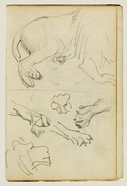 Théodore Géricault, Various studies of lion leg, paws and head