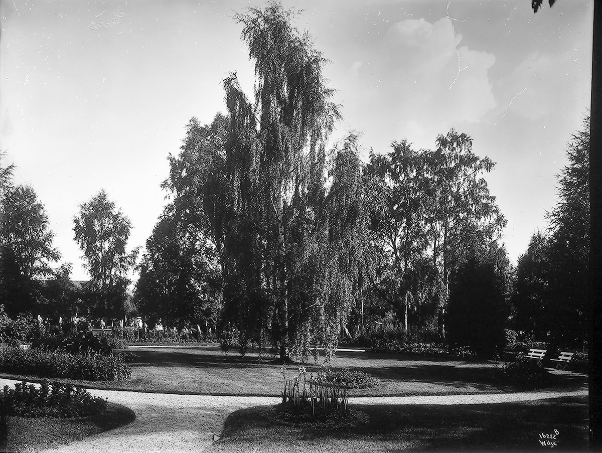 Anders Beer Wilse, Prot: Gjøsegaarden