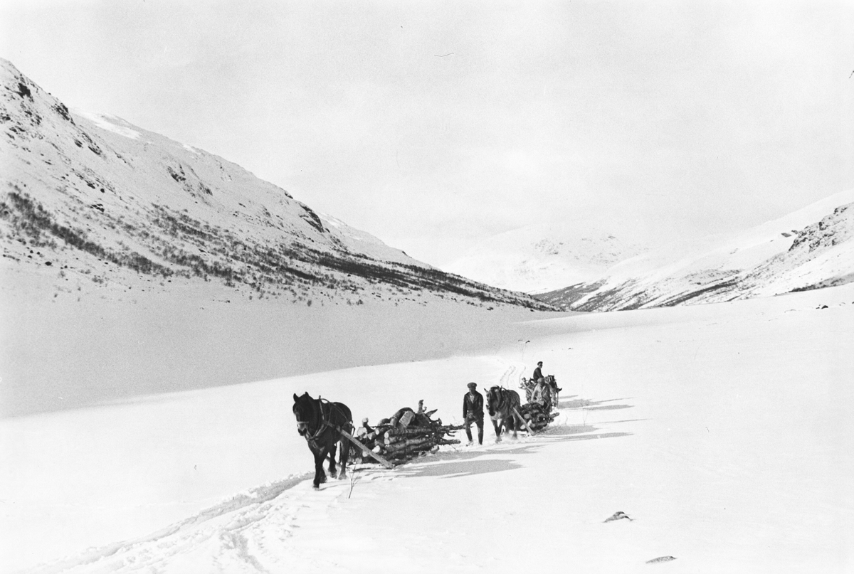 Anders Beer Wilse, Prot: Jotunheimen Vedkjöring - Visdalen