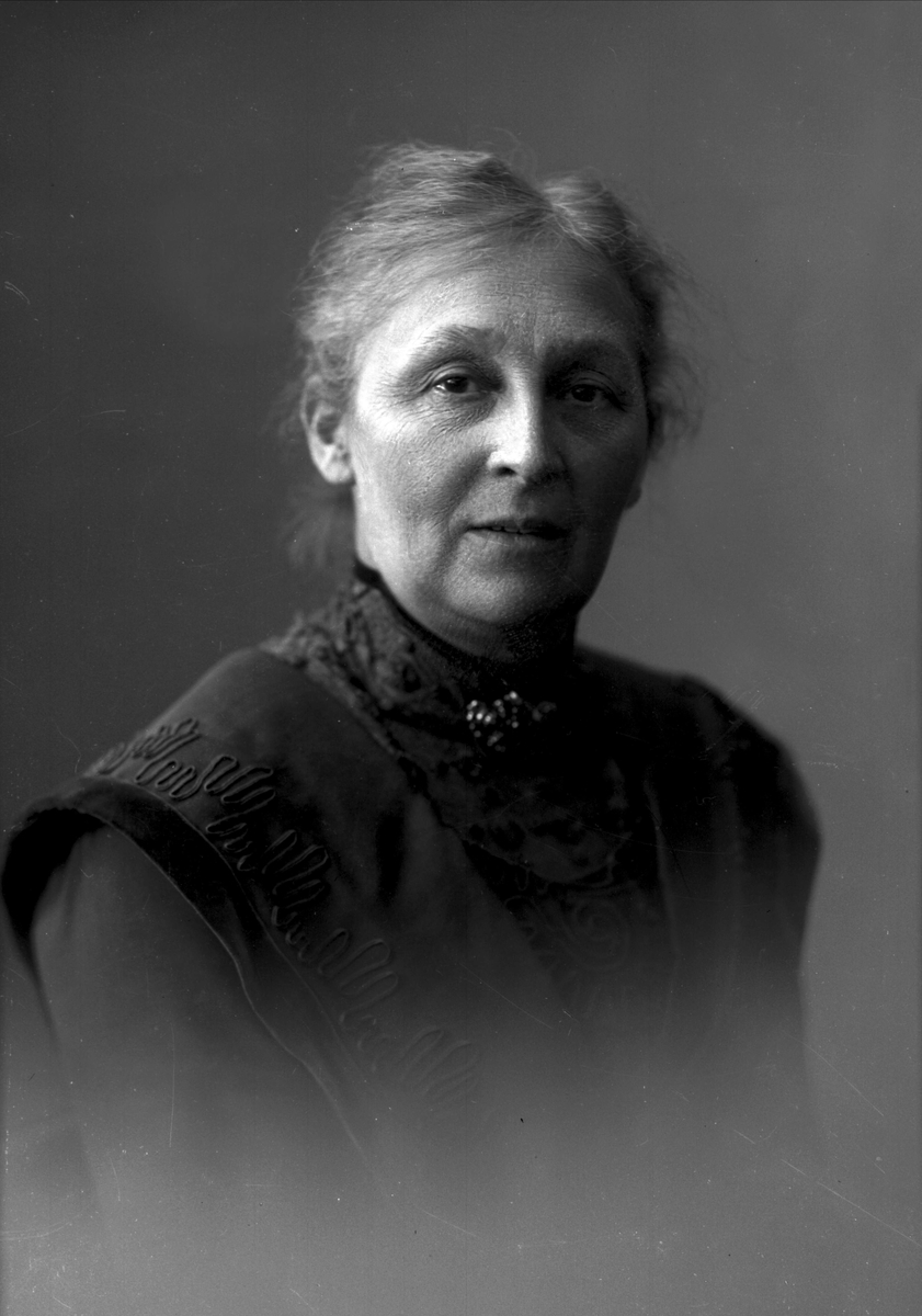 Gustav Borgen, NFB.02515