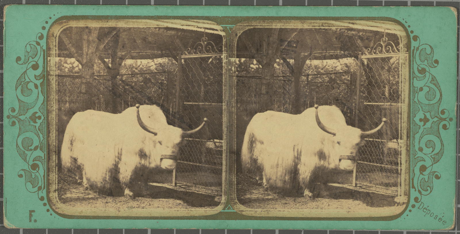Desconegut, Jardin Zoologique d'acclimatation Bois de Boulogne Justificació del títol, títol inscrit