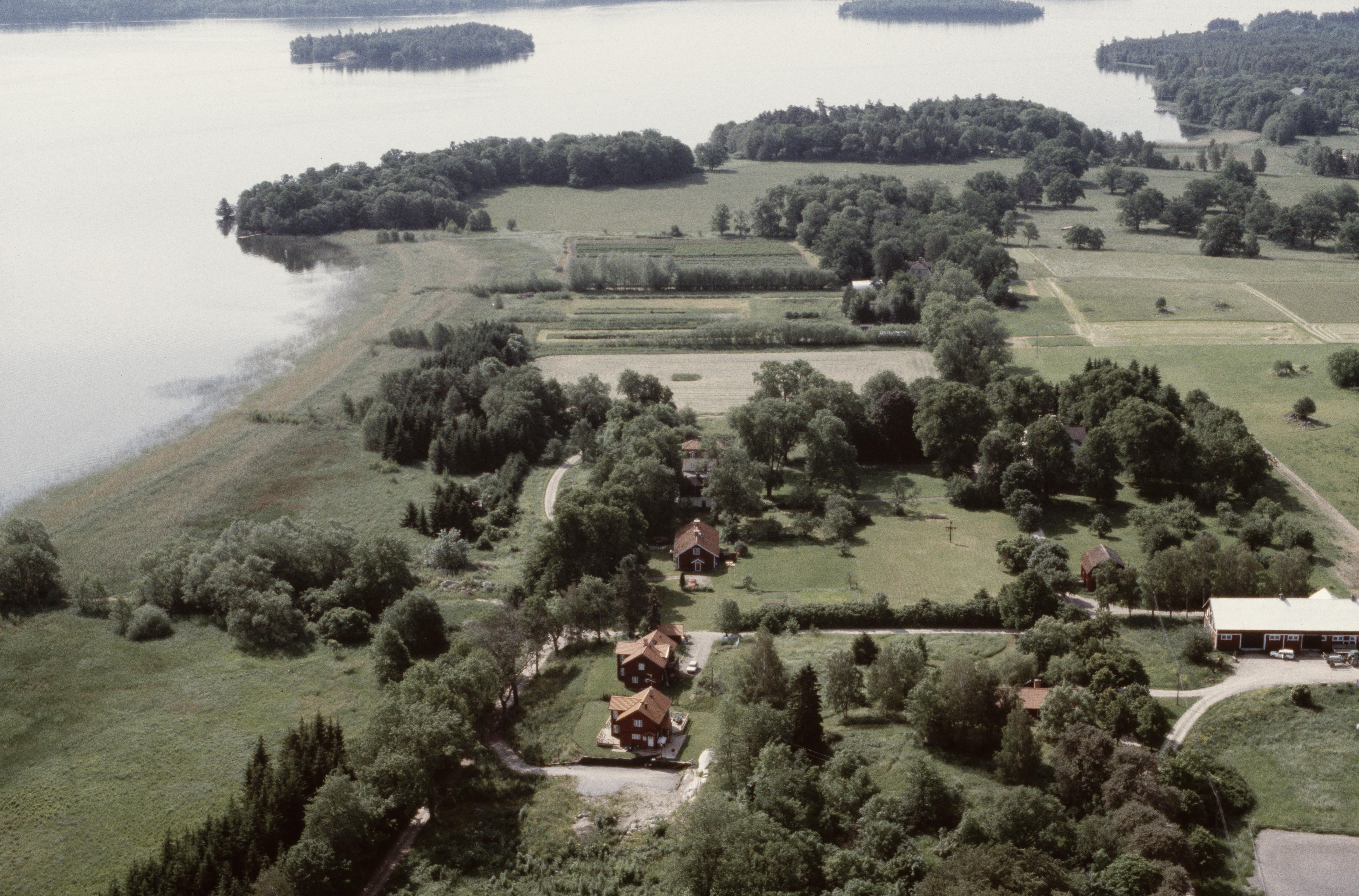 Jan Norrman, Kungsängen 156:1