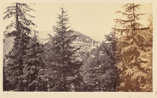 Samuel Bourne, Simla; The Church through the Trees, from Jakko