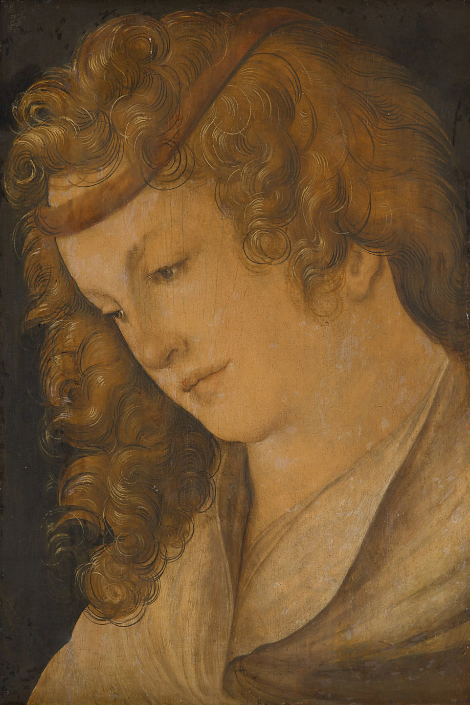 Hans Leonhard Schäufelein, De sanguinicus