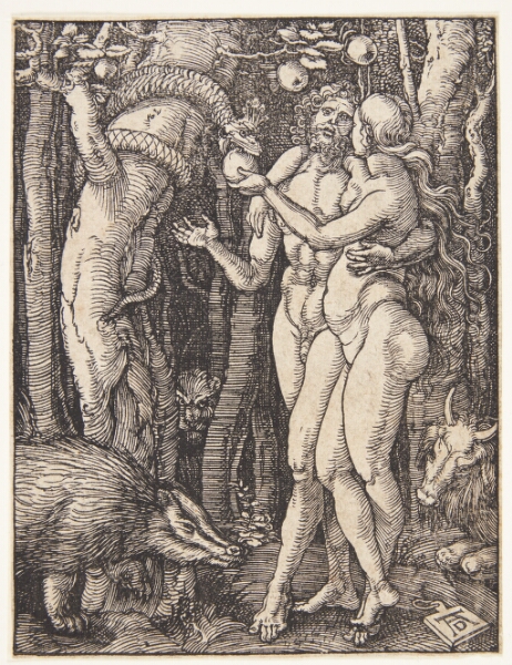 Albrecht Dürer, Syndefaldet