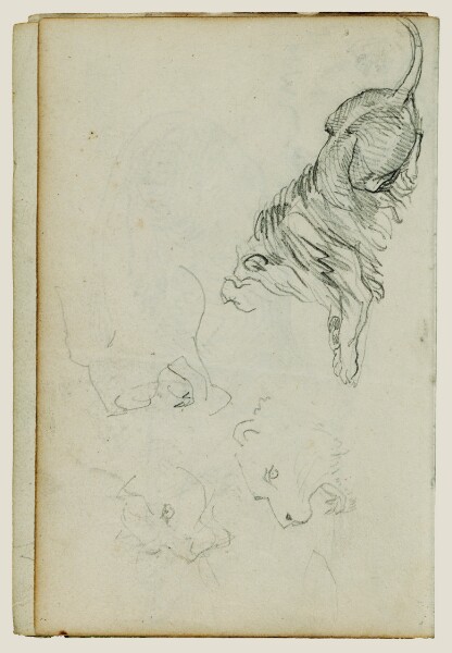 Théodore Géricault, Four lion studies