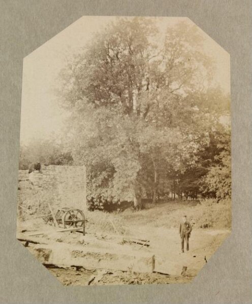 Clementina, Lady Hawarden, Photograph