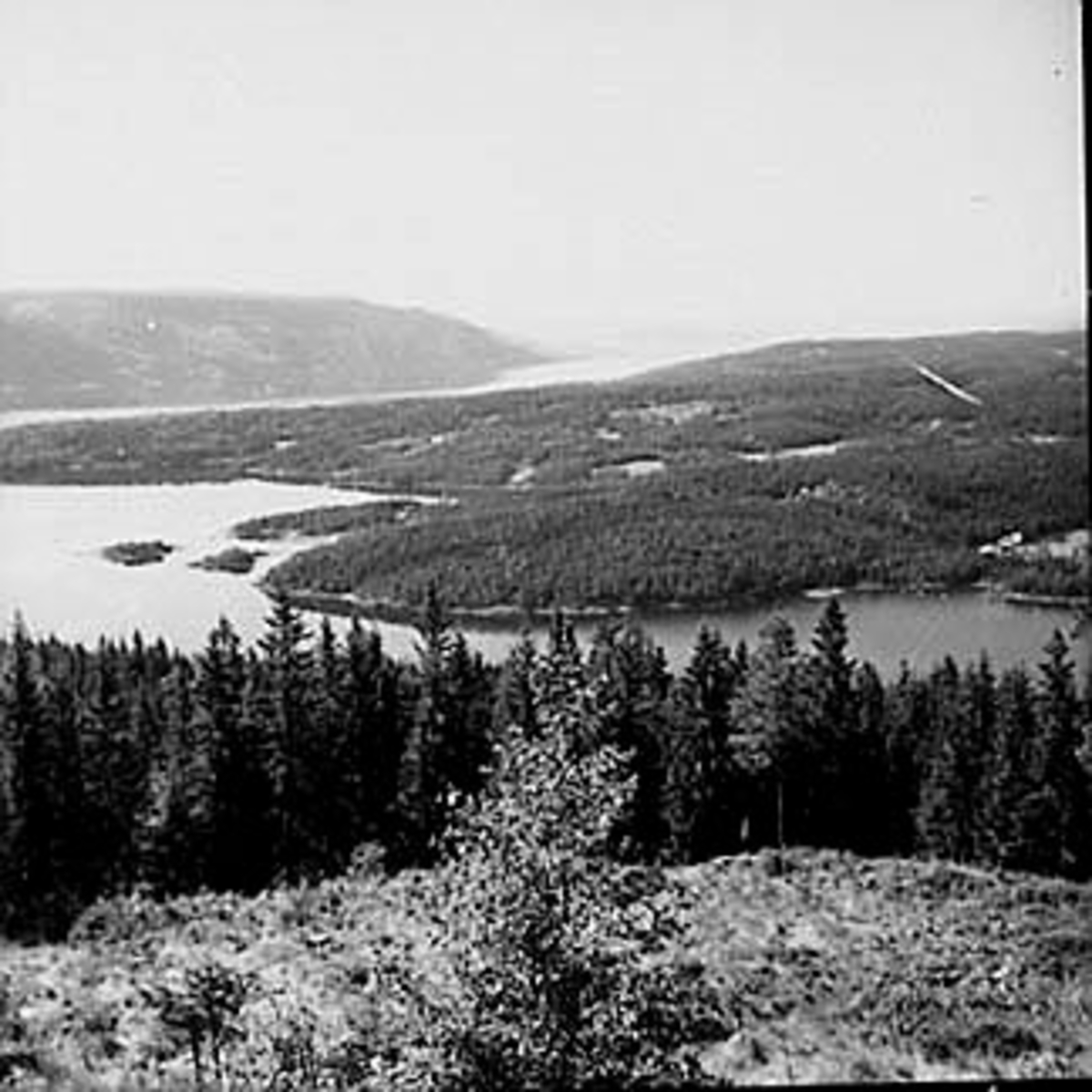 Anno Domkirkeodden, UTSIKT FRA VENSVANGEN, MJØSA MOT TANGEN
