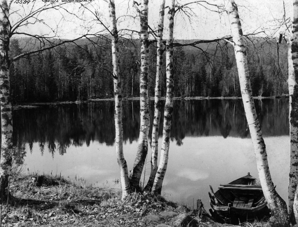 Anders Beer Wilse, Landskap Samf. robåt