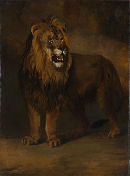 Pieter Gerardus van Os, A Lion from the Menagerie of King Louis Napoleon, 1808