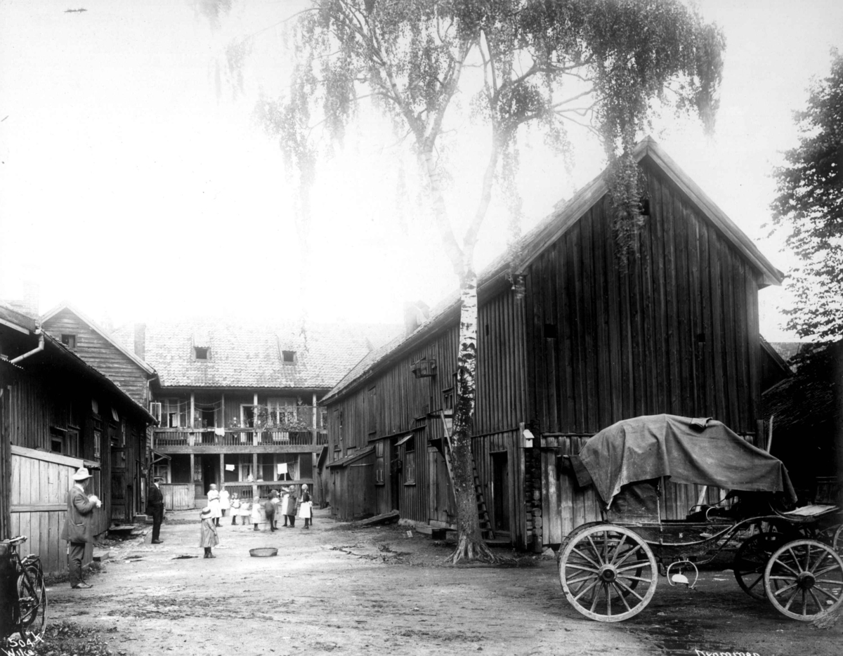 Anders Beer Wilse, NF.00608-075
