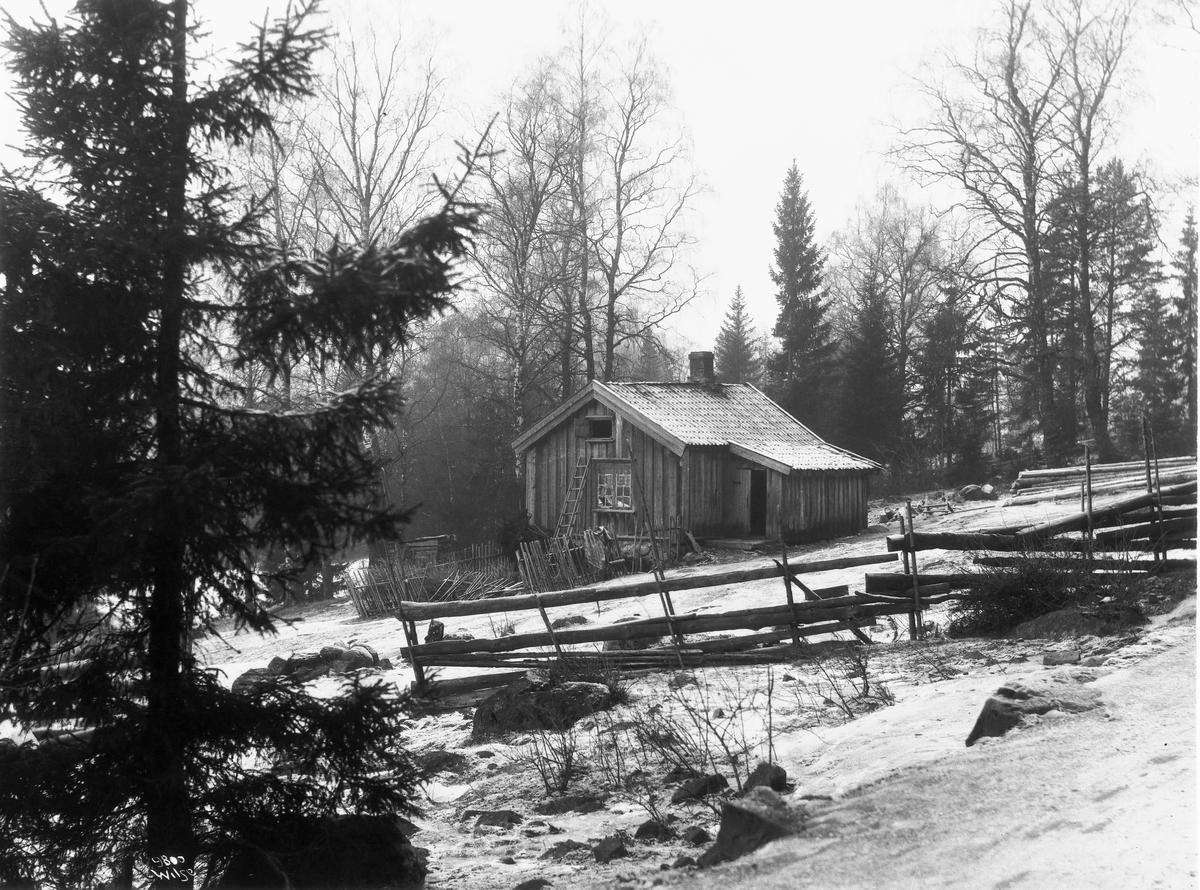 Anders Beer Wilse, Prot: Husmannsplass 3/2 1909
