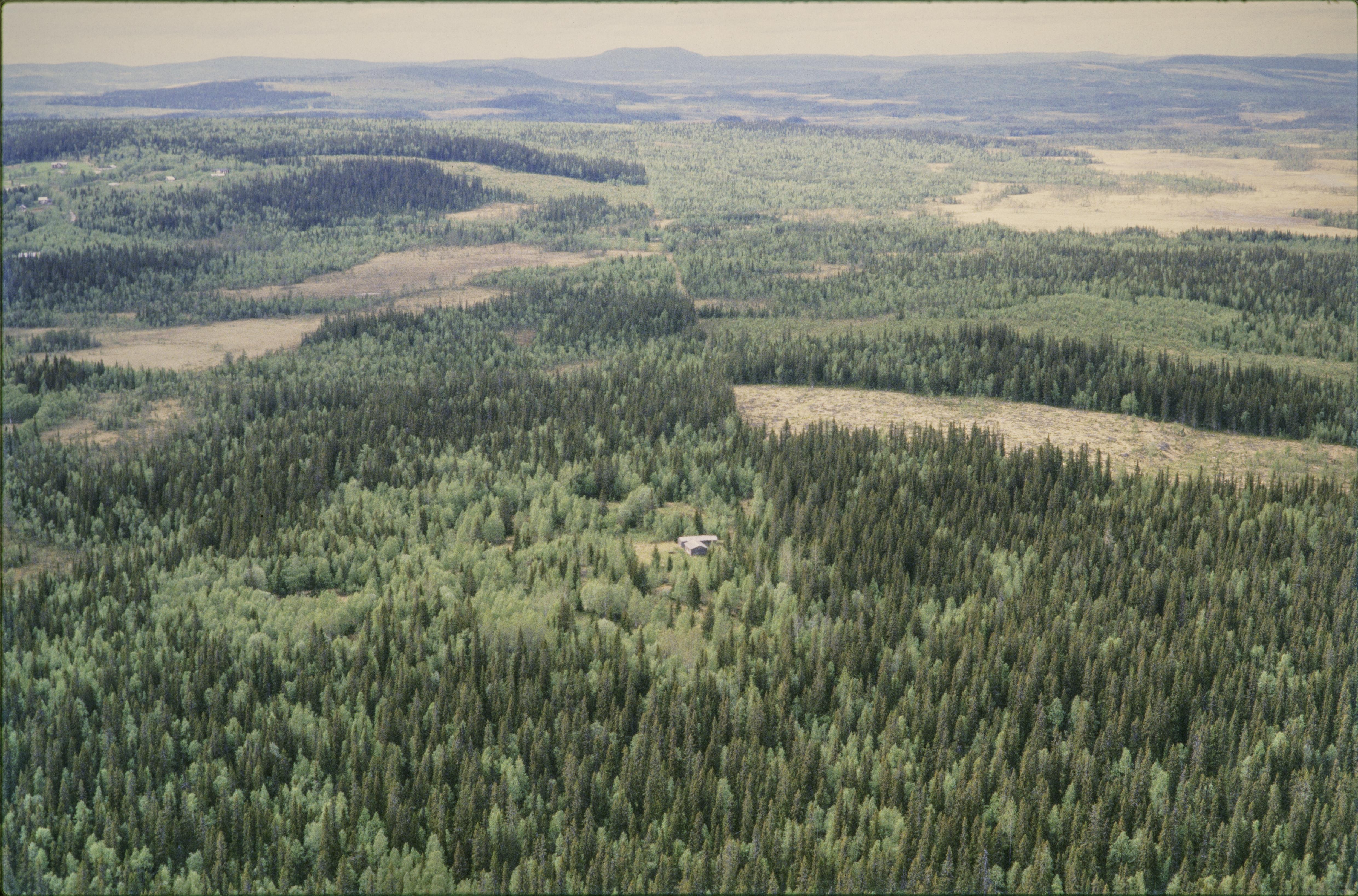 Jan Norrman, Bjurträsk - Vallsmyran
