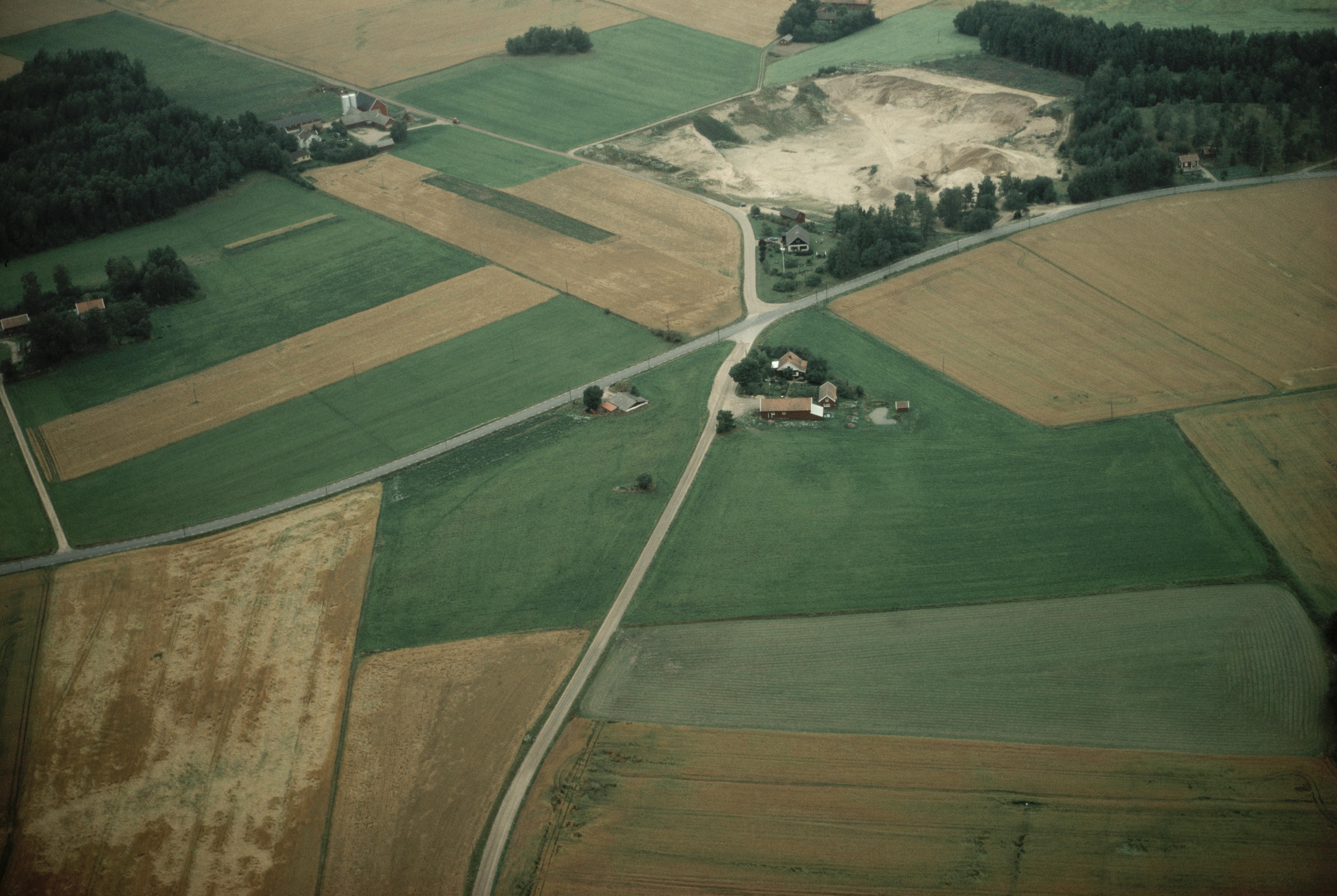 Jan Norrman, Larv 39:1