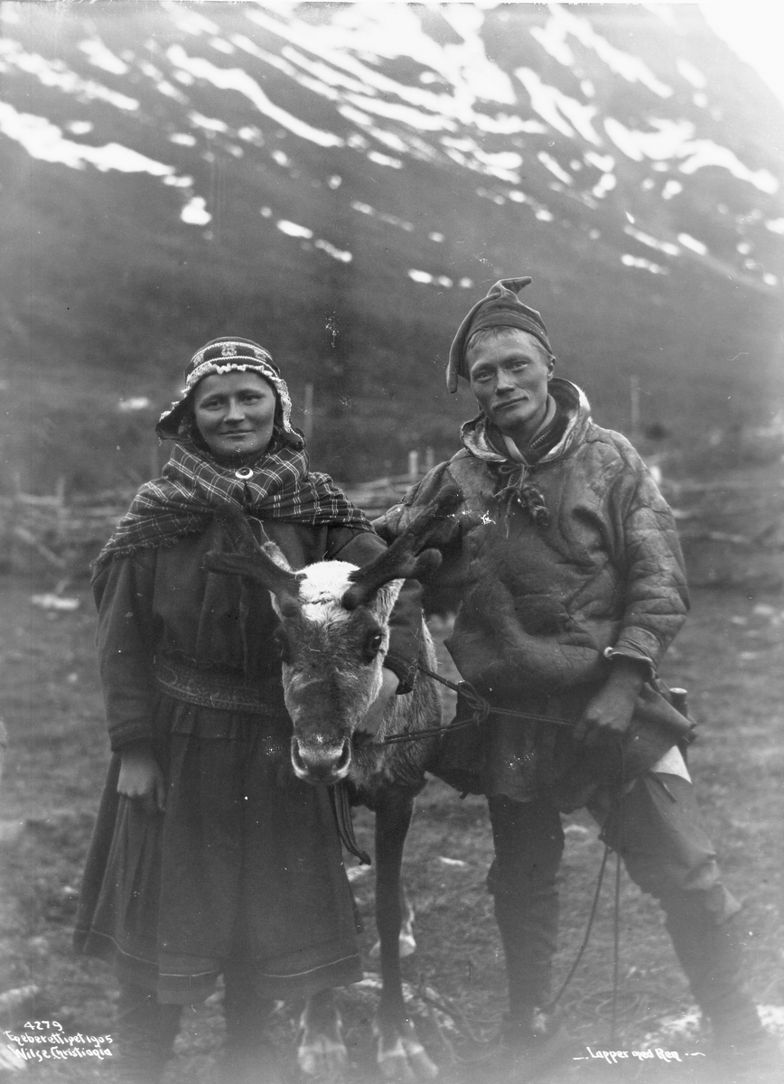 Anders Beer Wilse, Prot: Lapper - Lapper med Ren 14/7 1906