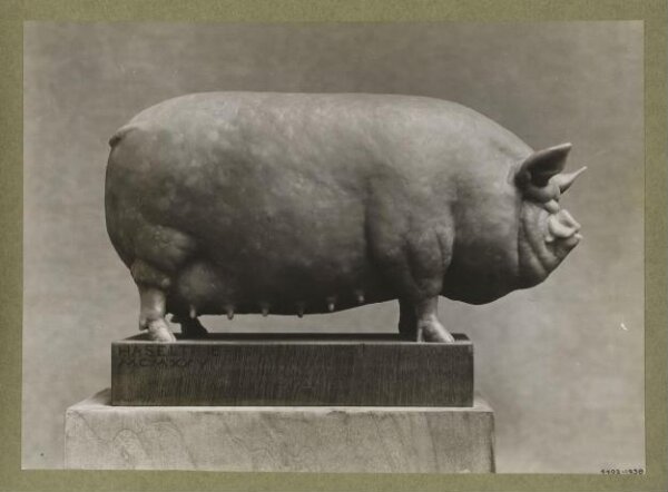 unknown, Photograph