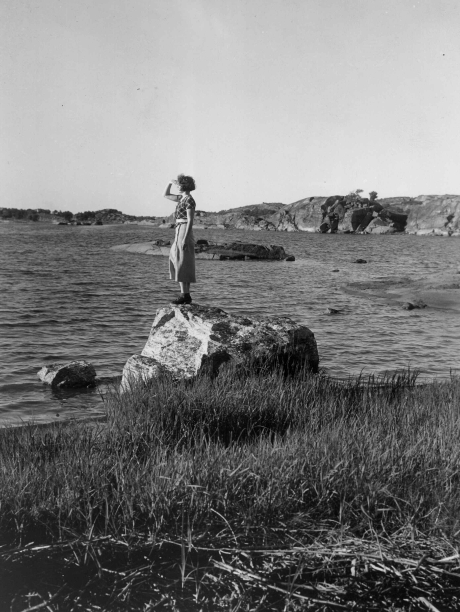 Anders Beer Wilse, Horten, Landskap