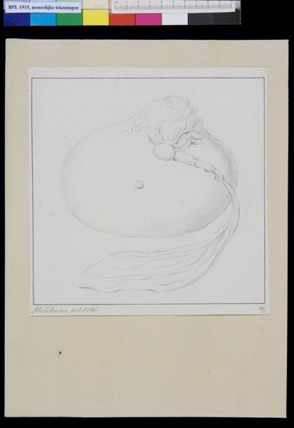 M Houtman, Placenta