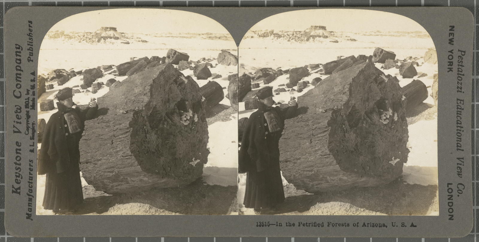 Desconegut, In the Petrified Forests of Arizona, U.S.A Keystone View Company, Pestalozzi Educational View Co