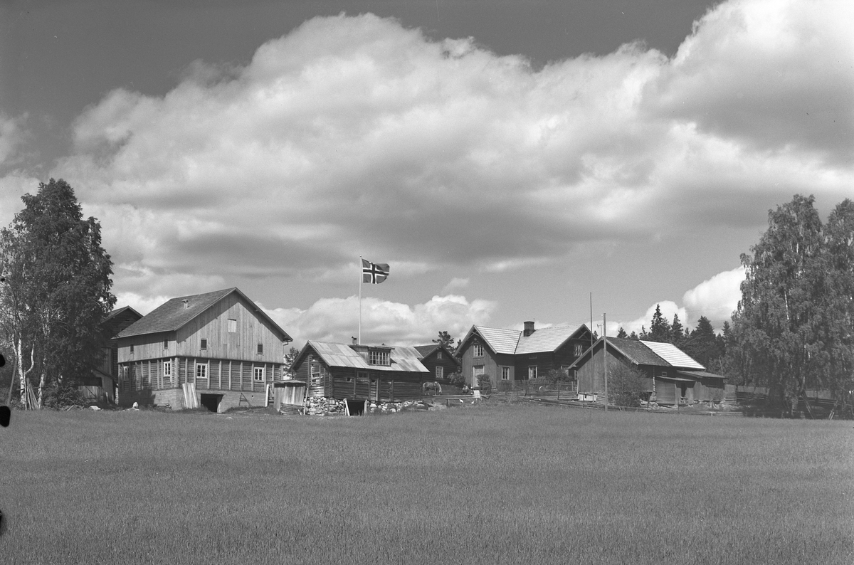 Anno Domkirkeodden, EKSTR: GARDSTUN, MONSERUD, LØTEN. Se Løtenboka, bind 3. Bygdeboka fra 1955, side 779