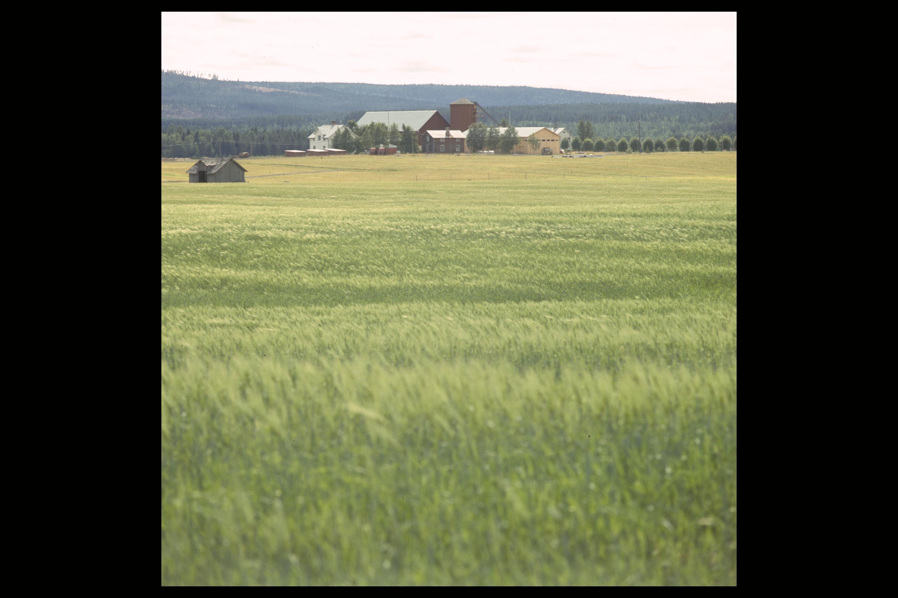 Pål-Nils Nilsson, Hälsingland