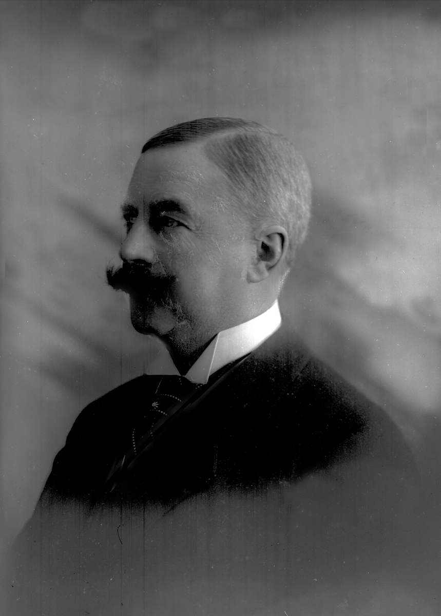 Gustav Borgen, Portrett, Ivar Aavatsmark.