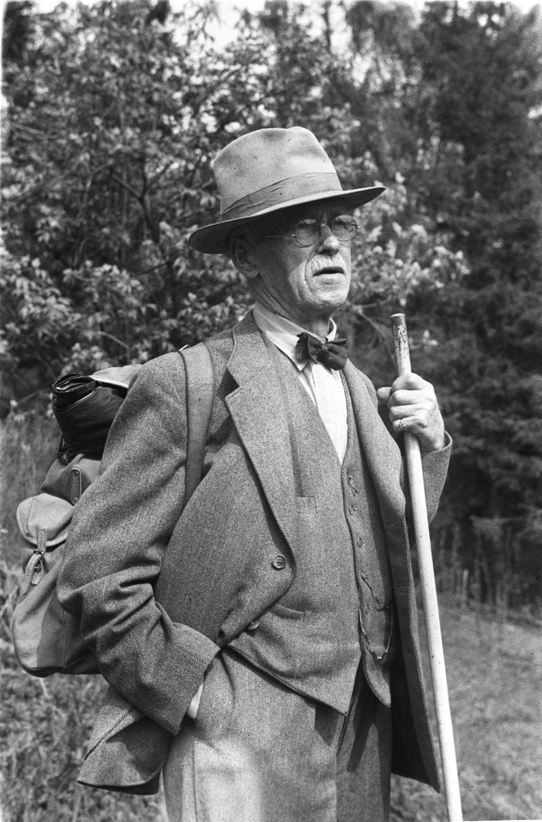 Anders Beer Wilse, Prot: Wilse i A.B i turhabitt