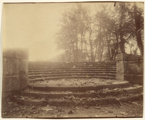 Eugène Atget, Le Parc, Saint Cloud (Park, Saint Cloud)