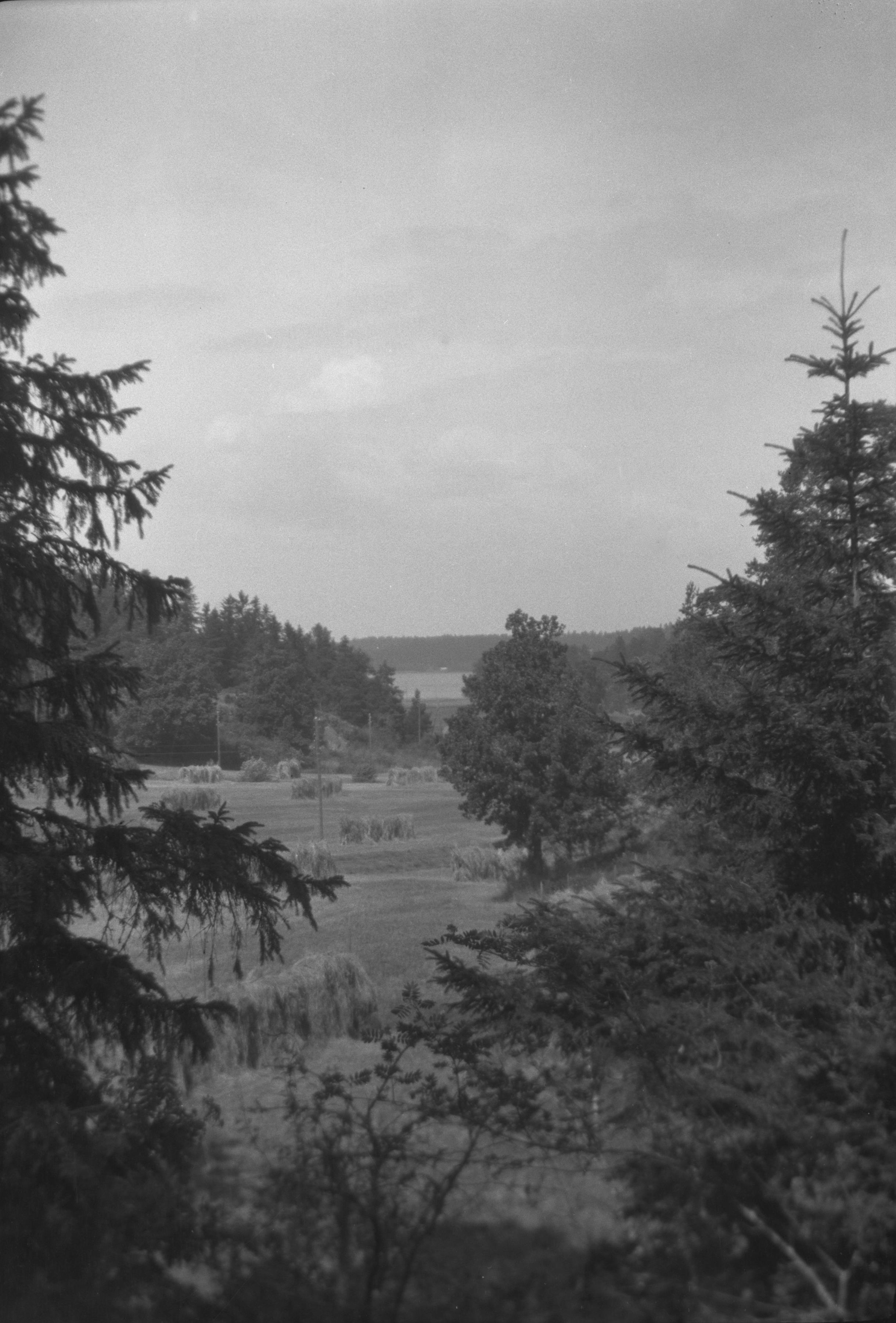 Berit Wallenberg, Lovö