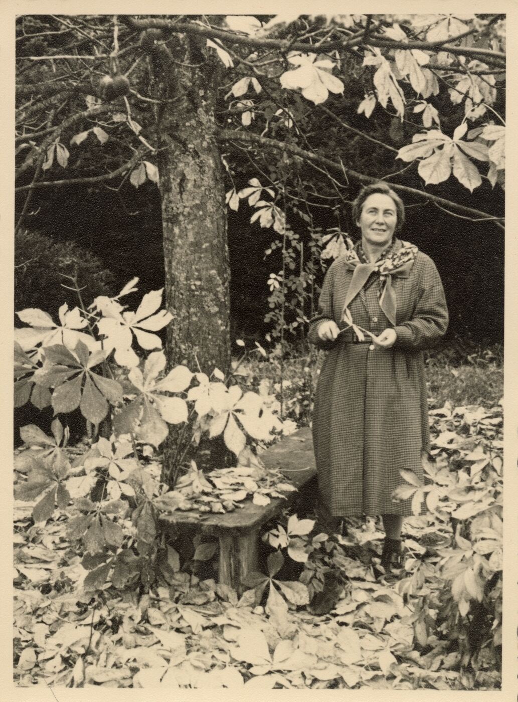 Nežinomas fotografas, Marija Natkevičaitė-Ivanauskienė prie kaštono