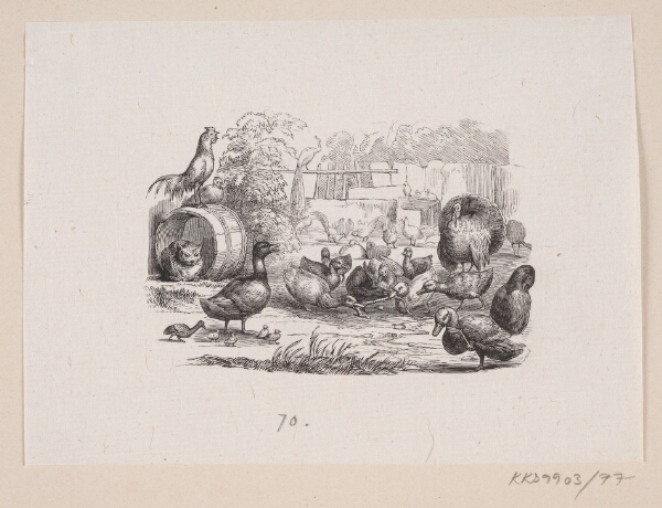 H.P. Hansen, Illustration til "Den grimme Ælling" i H.C. Andersen, "Eventyr og Historier", Bind 1