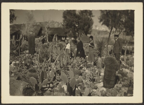 Louis Fleckenstein, [Fleckenstein Family in Cactus Garden]