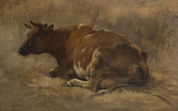 André Plumot, Cow