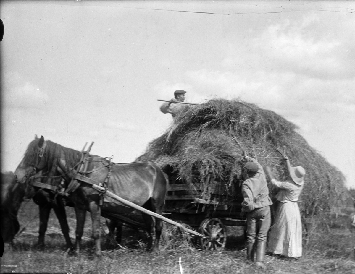 Carl Liljefors, Portrait, probably Gunsta Farm, Funbo parish, Uppland