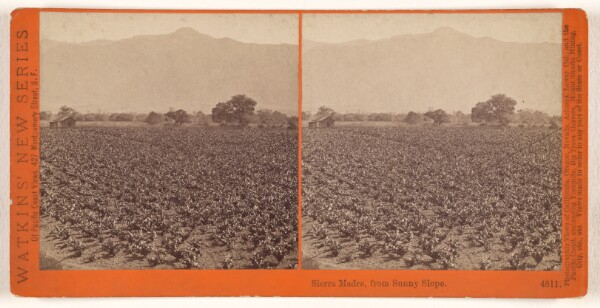 Carleton Watkins, Sierra Madre, from Sunny Slope.